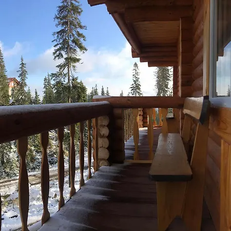 Alpin Eco Chalet & Wellness Dragobrat Exterior photo