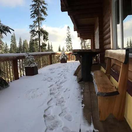 Alpin Eco Chalet & Wellness Dragobrat Exterior photo