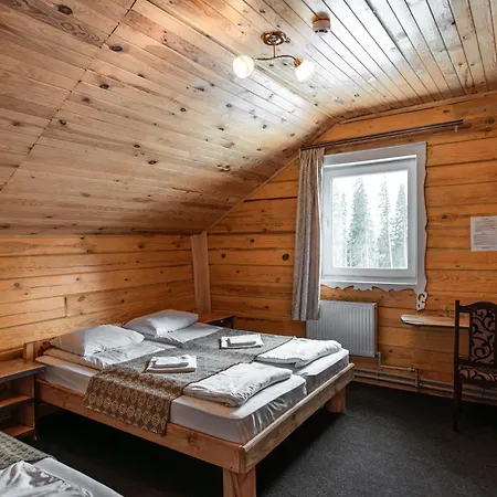 Alpin Eco Chalet & Wellness Dragobrat Exterior photo