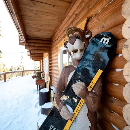 Alpin Eco Chalet & Wellness Dragobrat Exterior photo