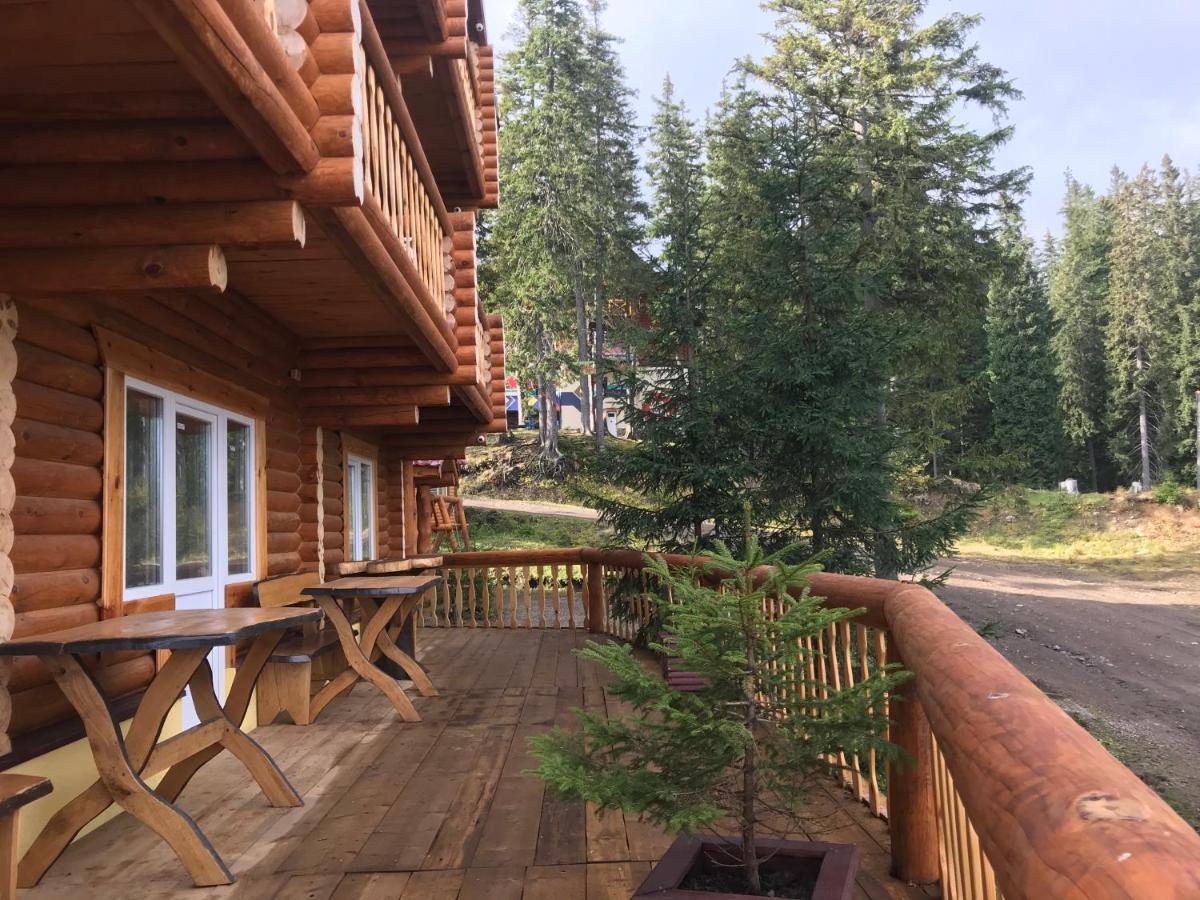 Alpin Eco & Wellness * Dragobrat