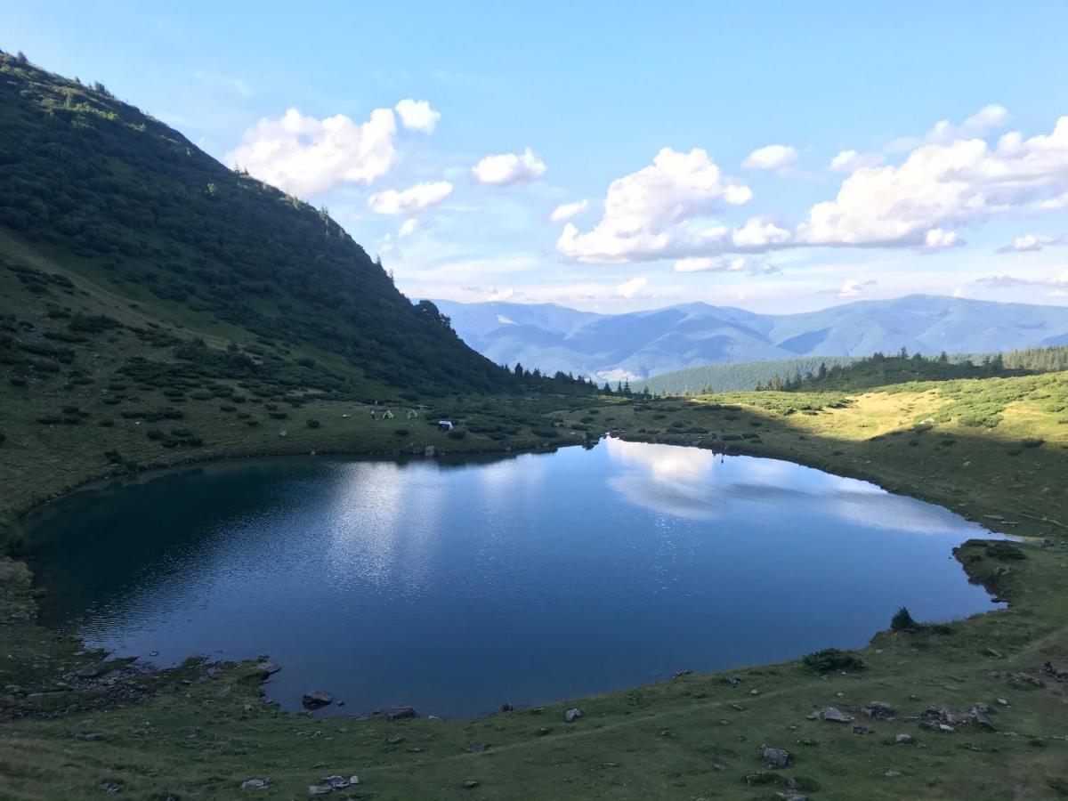 Alpin Eco & Wellness *