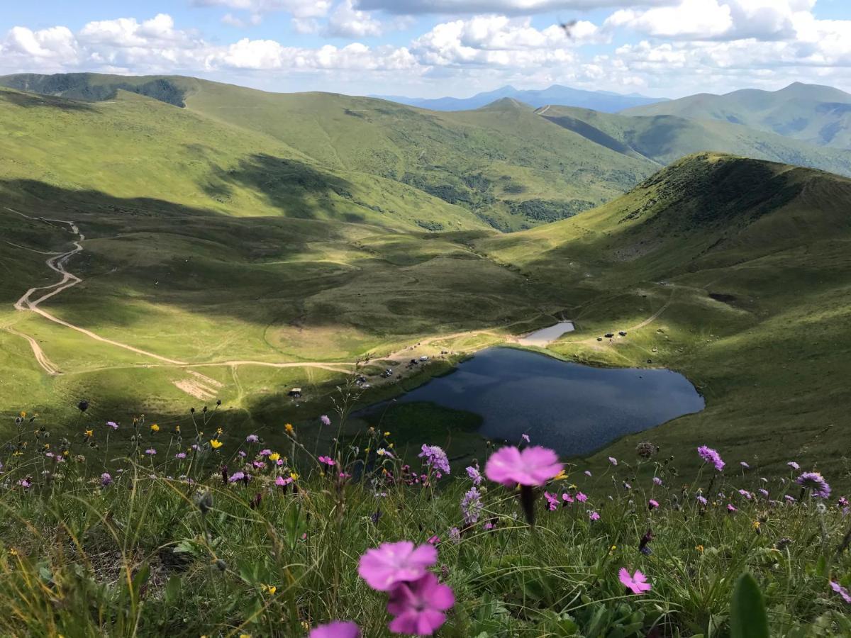 Hotel Alpin Eco & Wellness *