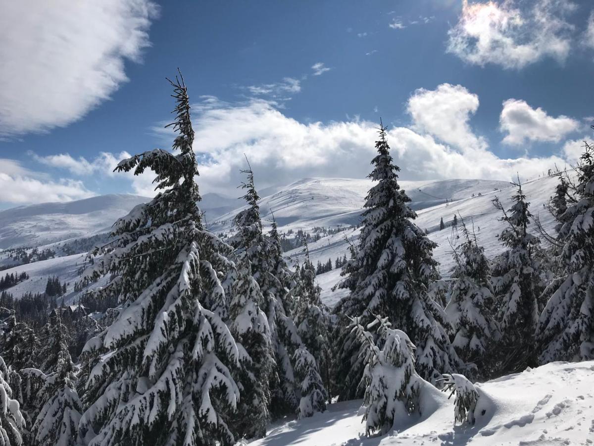 Hotel Alpin Eco & Wellness *