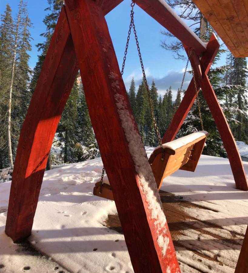 Alpin Eco & Wellness * Dragobrat