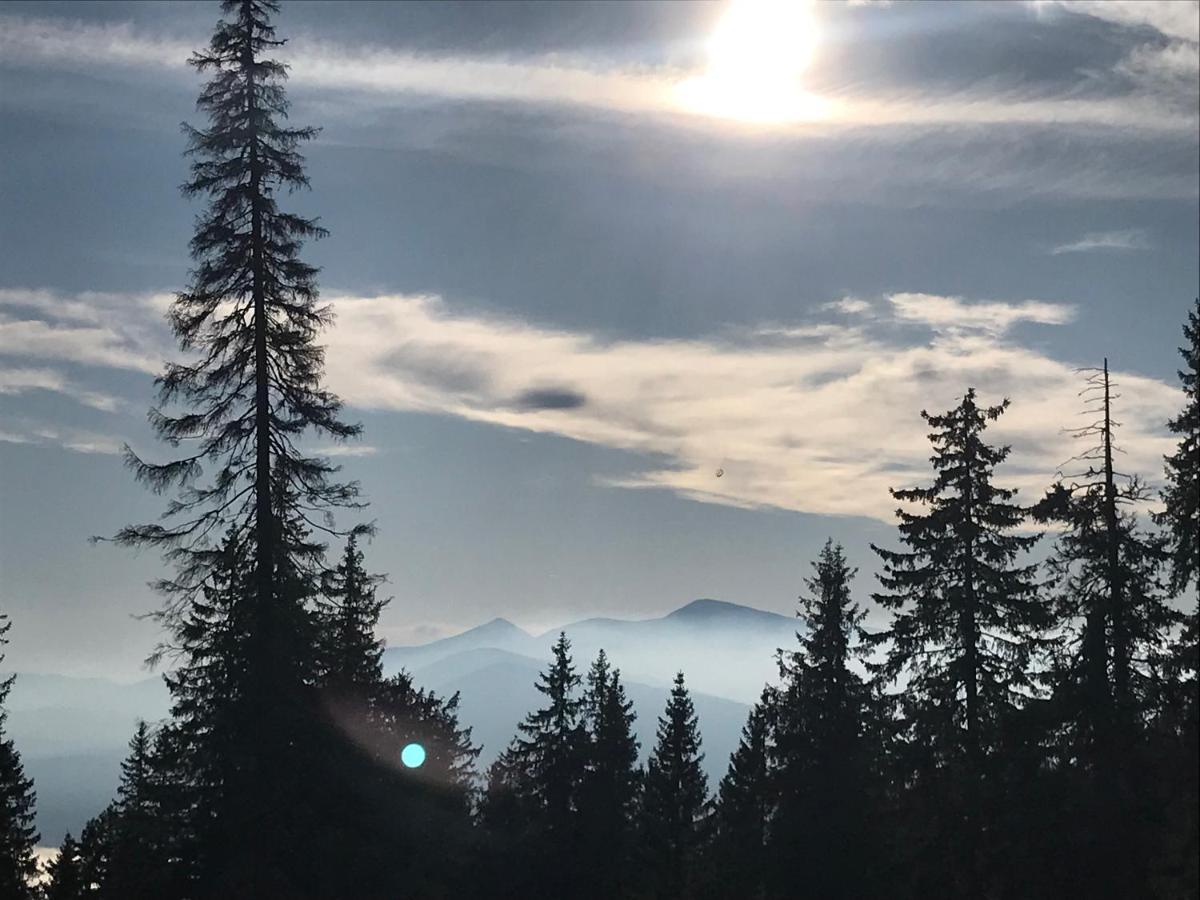 Alpin Eco & Wellness *